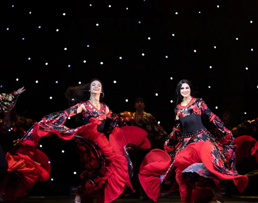 Flamenco shows in Granada